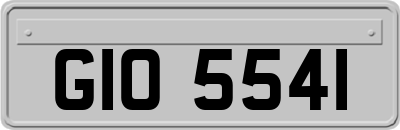 GIO5541