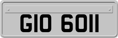 GIO6011