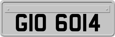 GIO6014