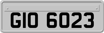 GIO6023