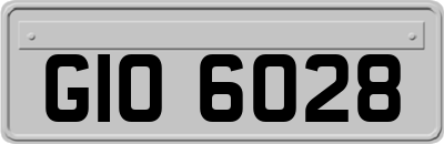 GIO6028
