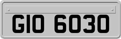 GIO6030