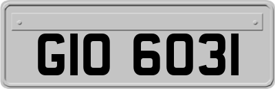 GIO6031