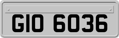 GIO6036