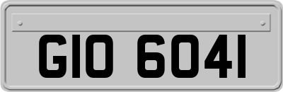 GIO6041
