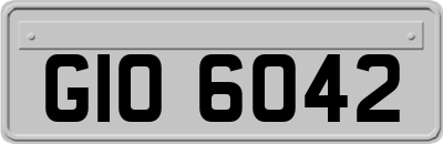 GIO6042
