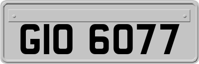 GIO6077