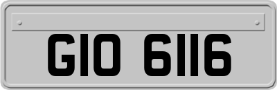GIO6116