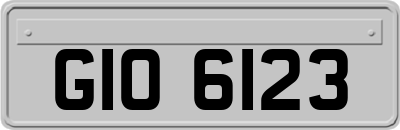 GIO6123