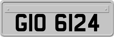 GIO6124