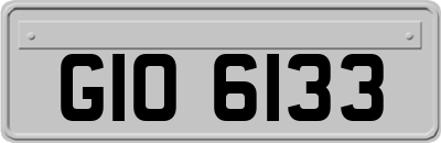 GIO6133
