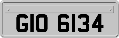 GIO6134