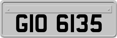 GIO6135
