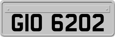 GIO6202