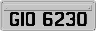 GIO6230