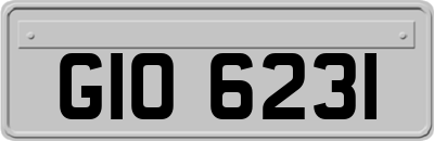 GIO6231