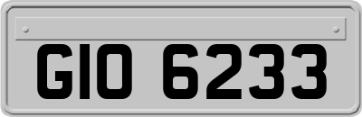 GIO6233