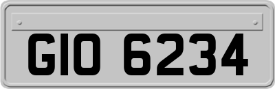 GIO6234