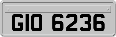 GIO6236