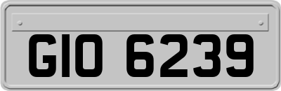 GIO6239