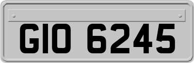 GIO6245