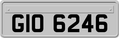 GIO6246