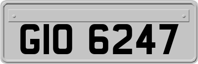 GIO6247