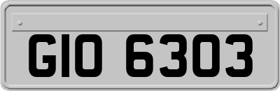 GIO6303