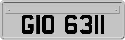 GIO6311