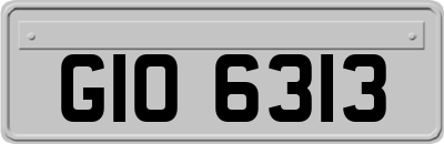 GIO6313