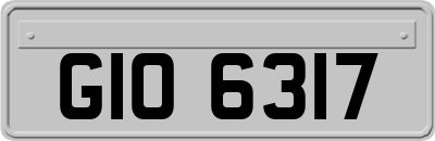 GIO6317