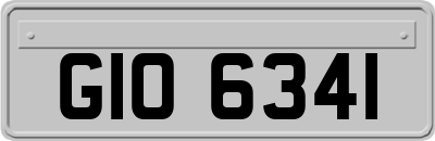 GIO6341