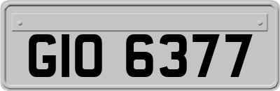 GIO6377