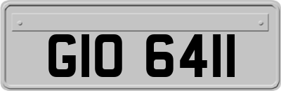 GIO6411