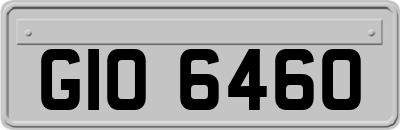 GIO6460