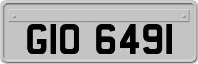 GIO6491