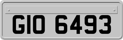 GIO6493
