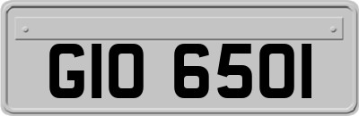 GIO6501