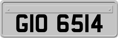 GIO6514