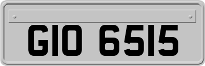 GIO6515