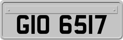 GIO6517