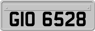 GIO6528