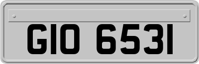 GIO6531