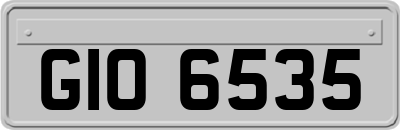 GIO6535