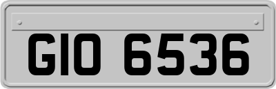 GIO6536