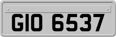 GIO6537
