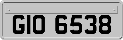 GIO6538