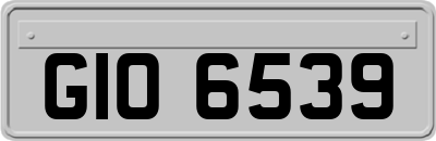 GIO6539