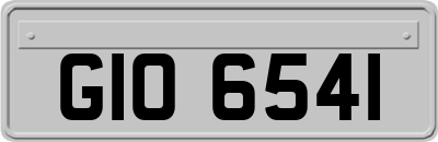 GIO6541