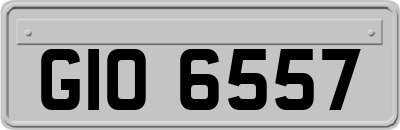 GIO6557